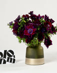 Purple Velvet Anemones