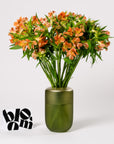 Orange Marmalade Alstroemeria