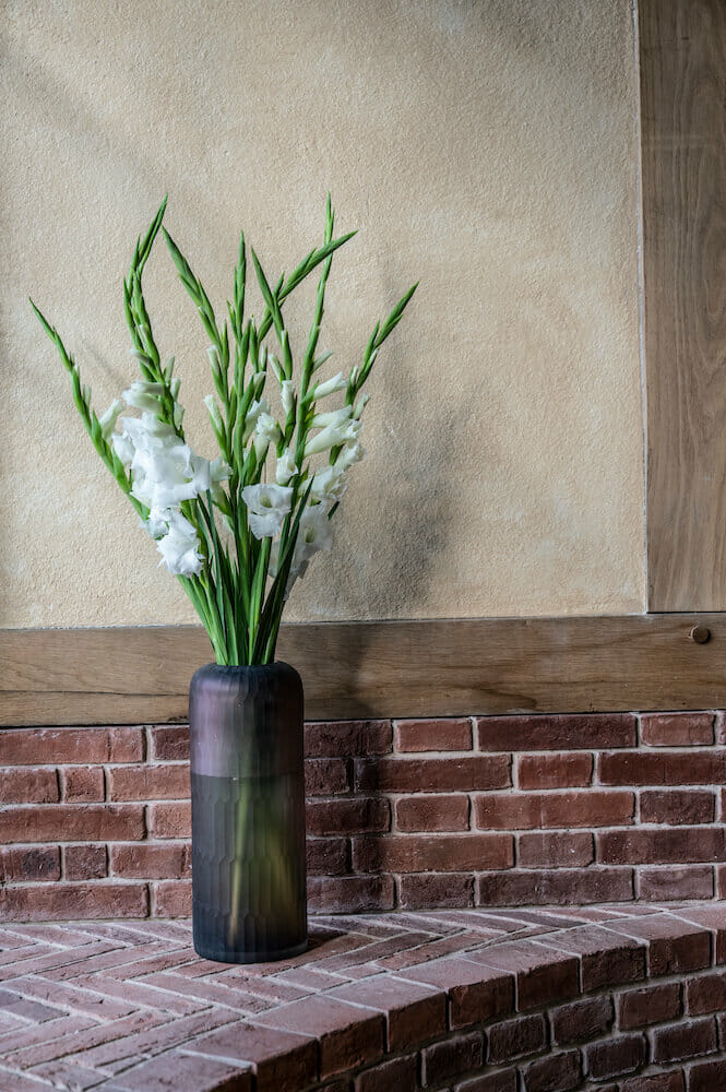 Arctic White Gladioli