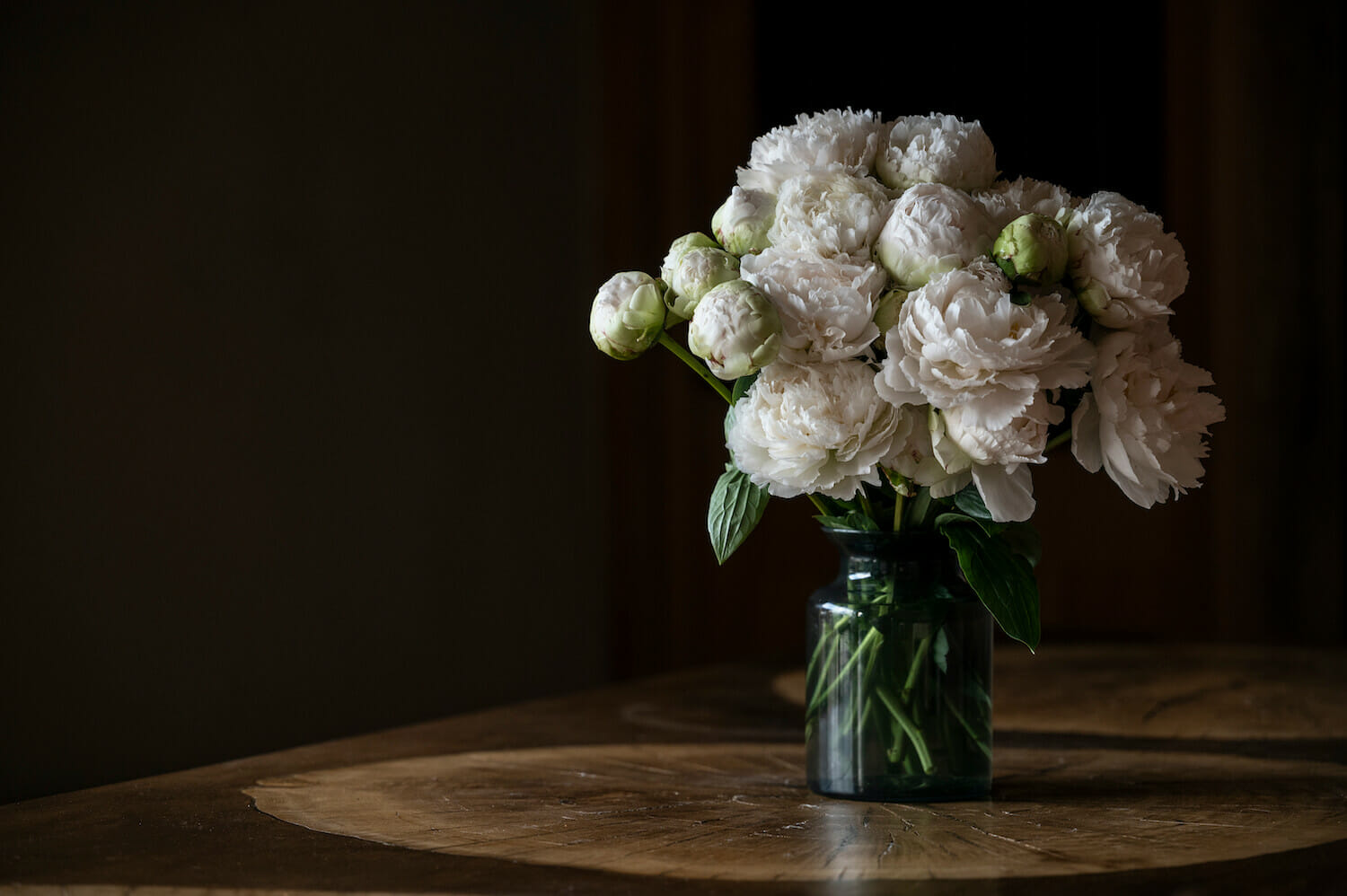 Porcelain White Peony