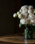 Porcelain White Peony