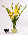 Goldfinch Yellow Gladioli